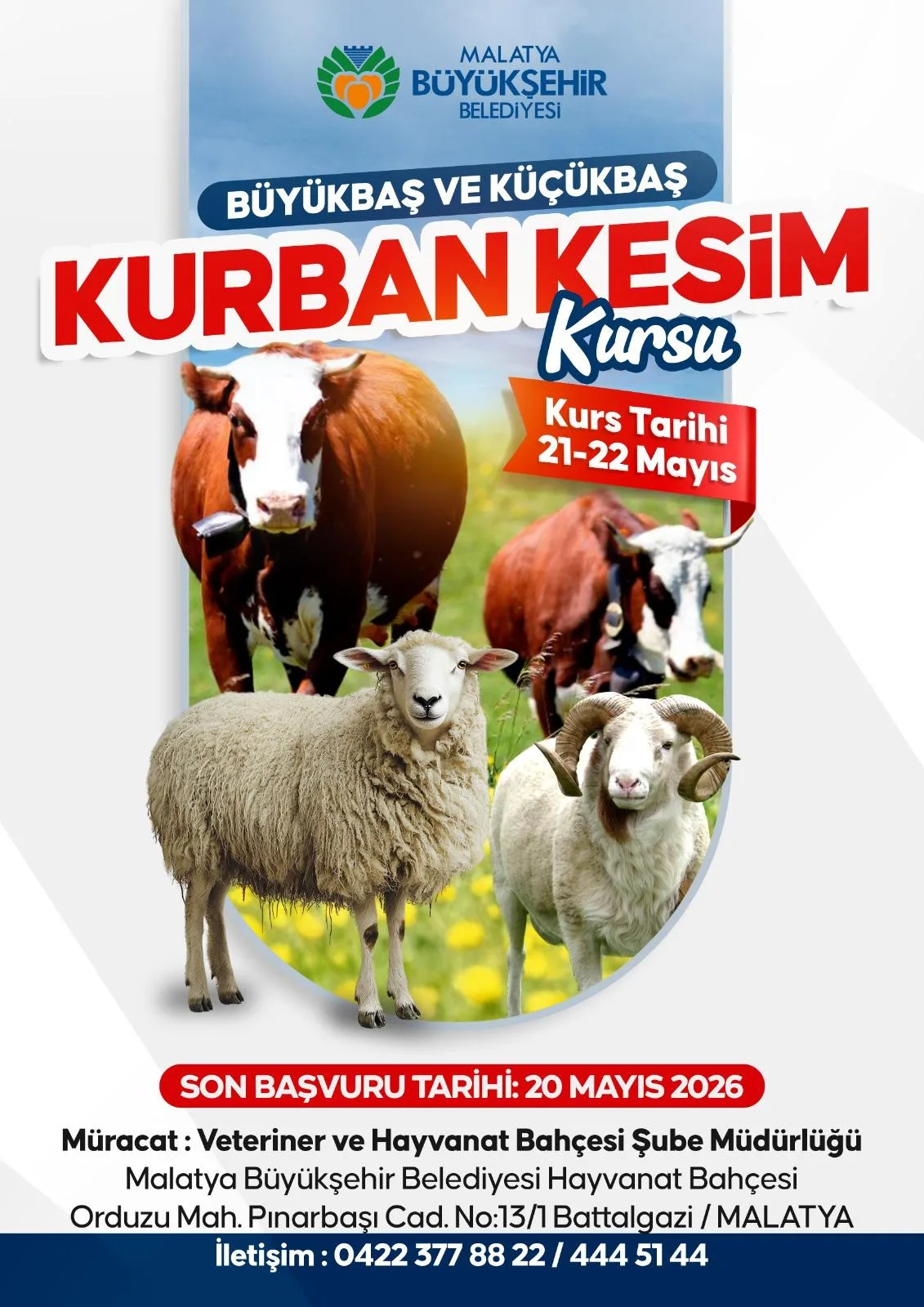 “İSLAMİ USULLERE UYGUN VE GÜVENLİ KURBAN KESİMİ” EĞİTİMİ VERİLECEK