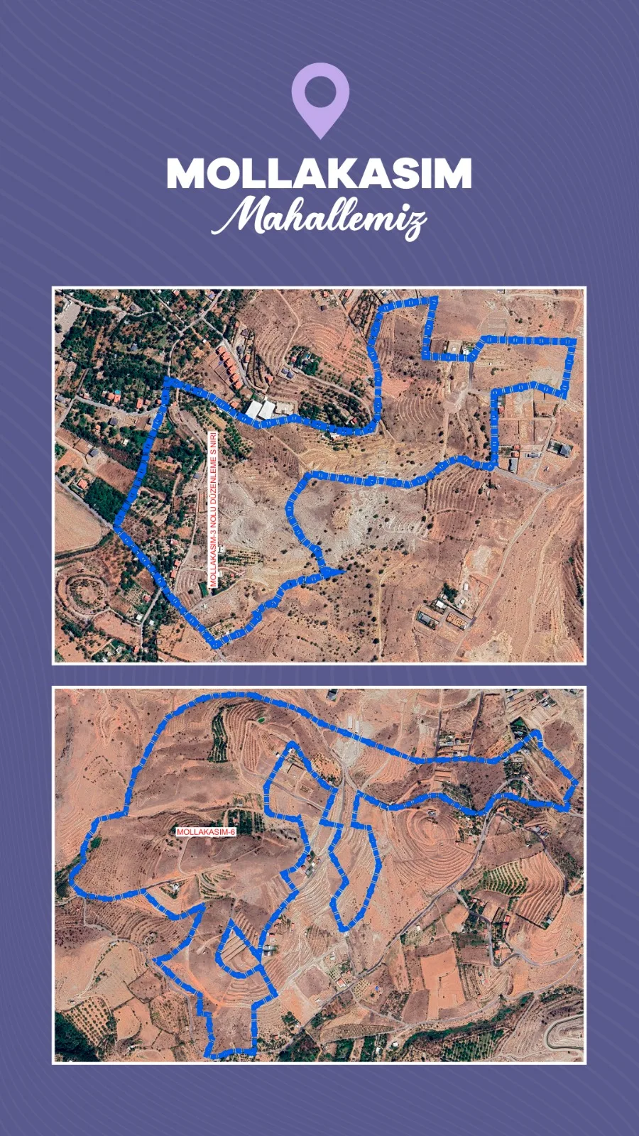 1000259258