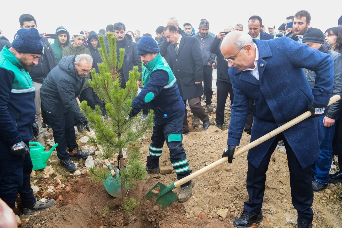 Malatya Büyükşehir Belediyesi’nden ağaçlandırma seferberliği