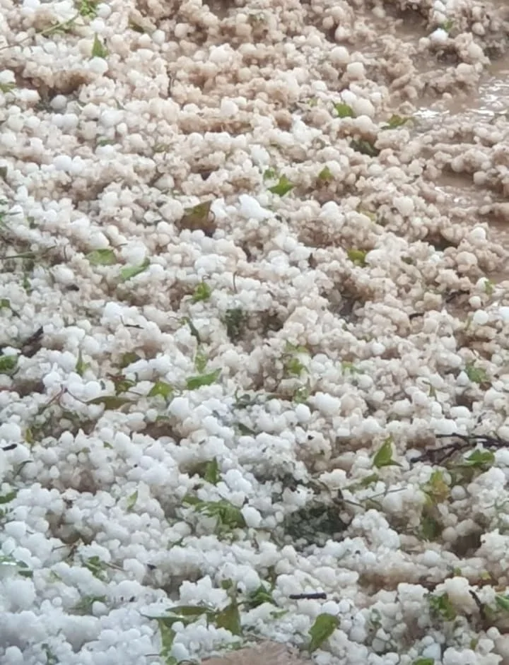 Malatya'da Gök Delindi! Sağanak Dolu Yağışı Çiftçiyi Can Evinden Vurdu