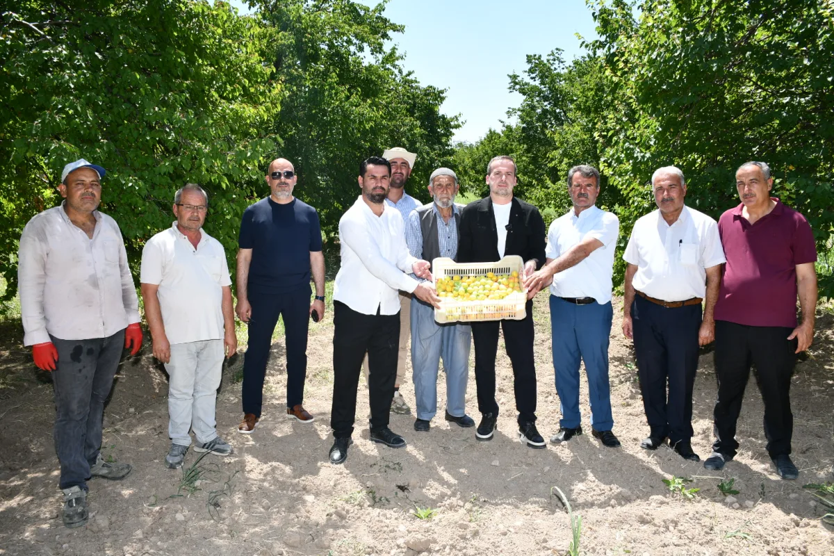 MAGİNDER Başkanı Salih Karademir'den Kayısı İçin Kritik Çağrı!