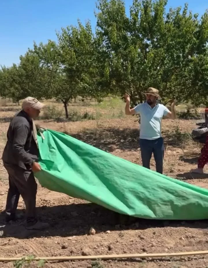 Anahtar Parti Malatya İl Başkanı Zelyurt:"Malatya'da Çiftçi Kan Ağlıyor, Yöneticiler Düğün Yapıyor"
