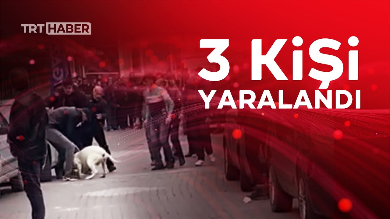 Malatya'da pitbull'lu kavga